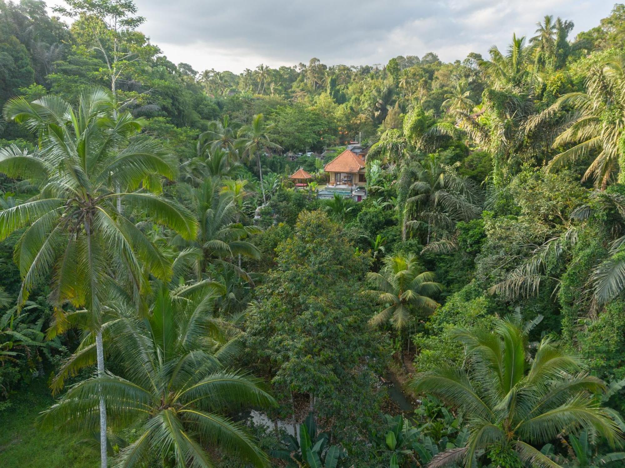 Gunung Kawi Villa Tegallalang  Exteriör bild