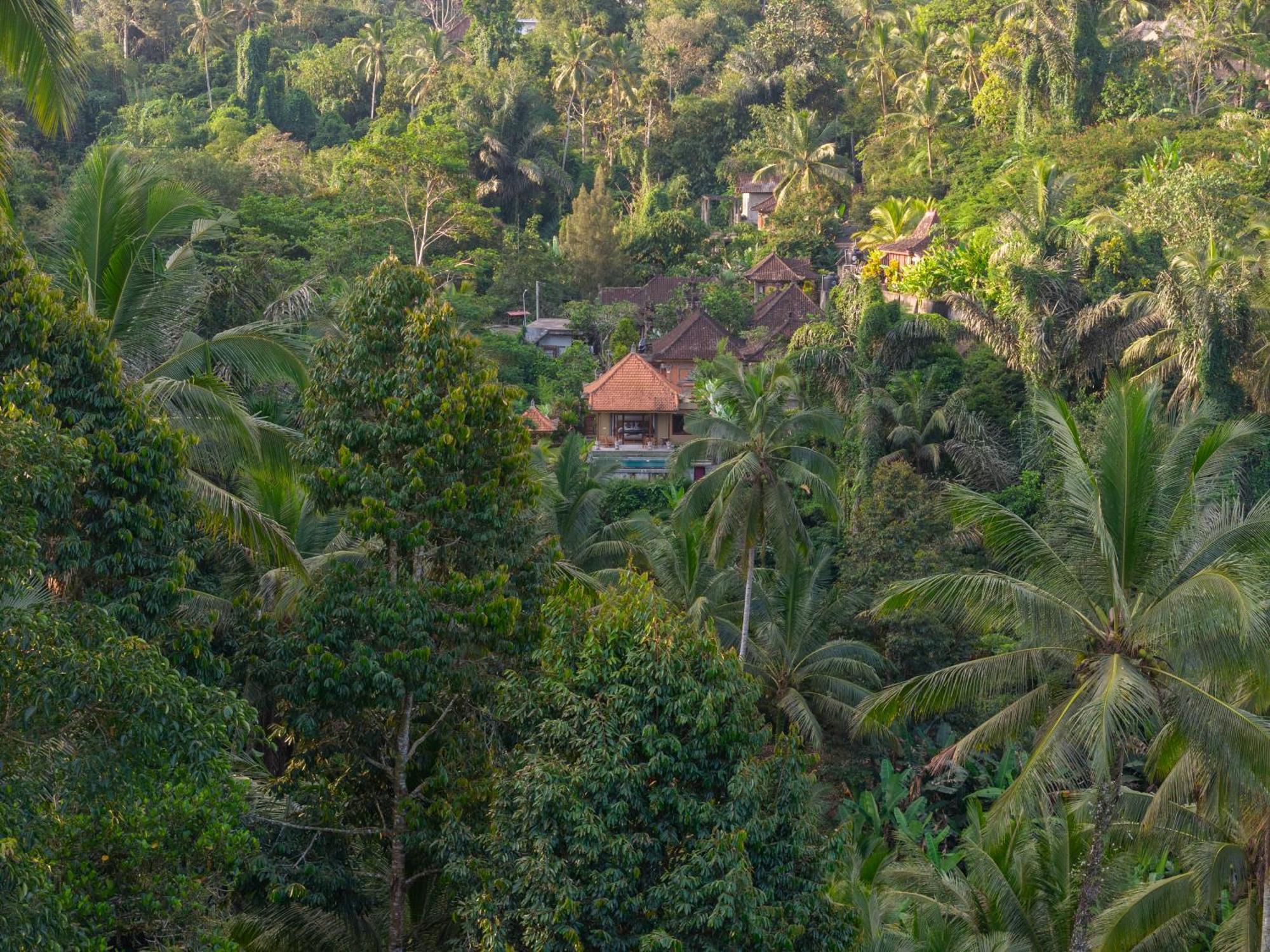 Gunung Kawi Villa Tegallalang  Exteriör bild