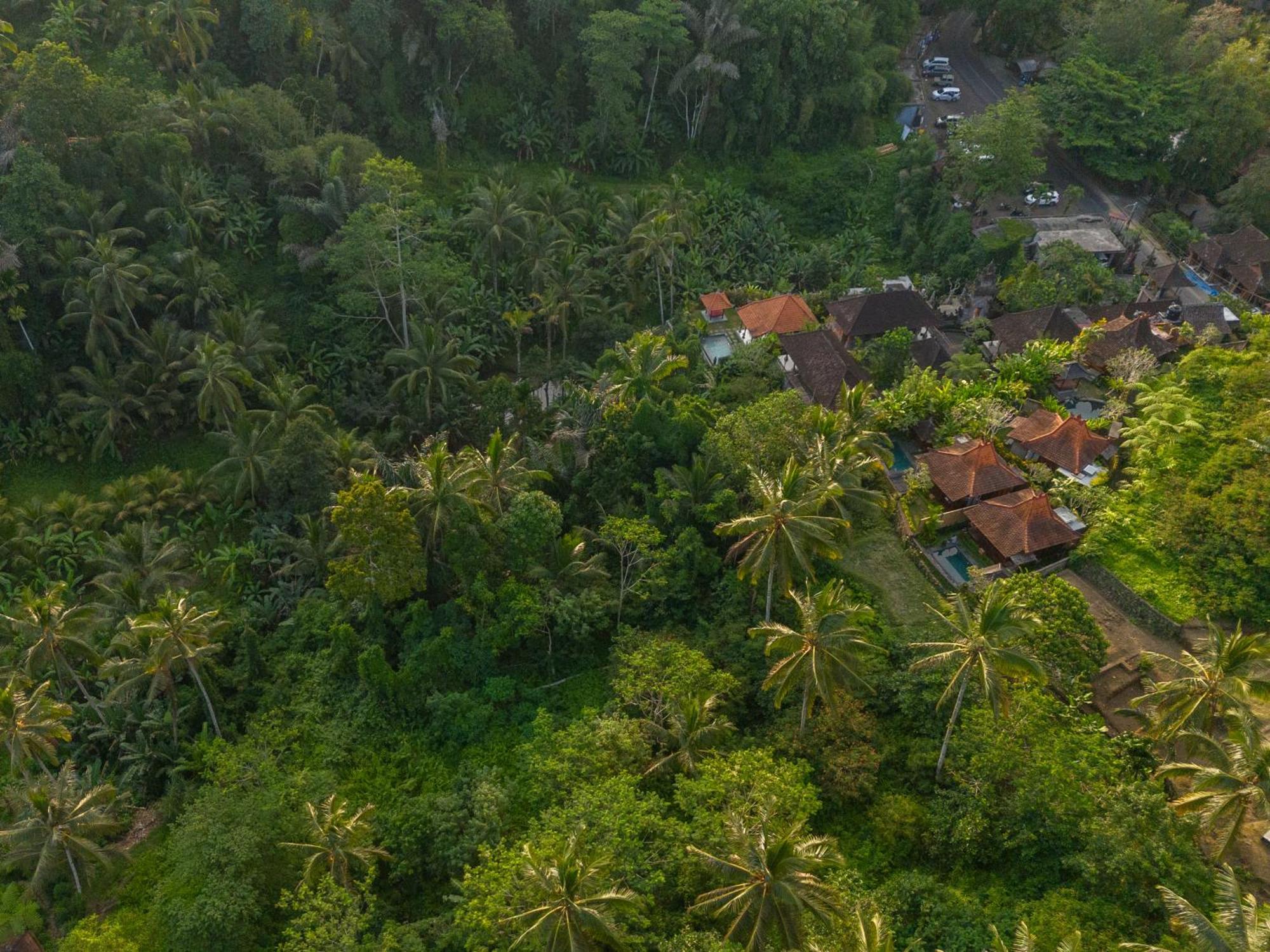 Gunung Kawi Villa Tegallalang  Exteriör bild