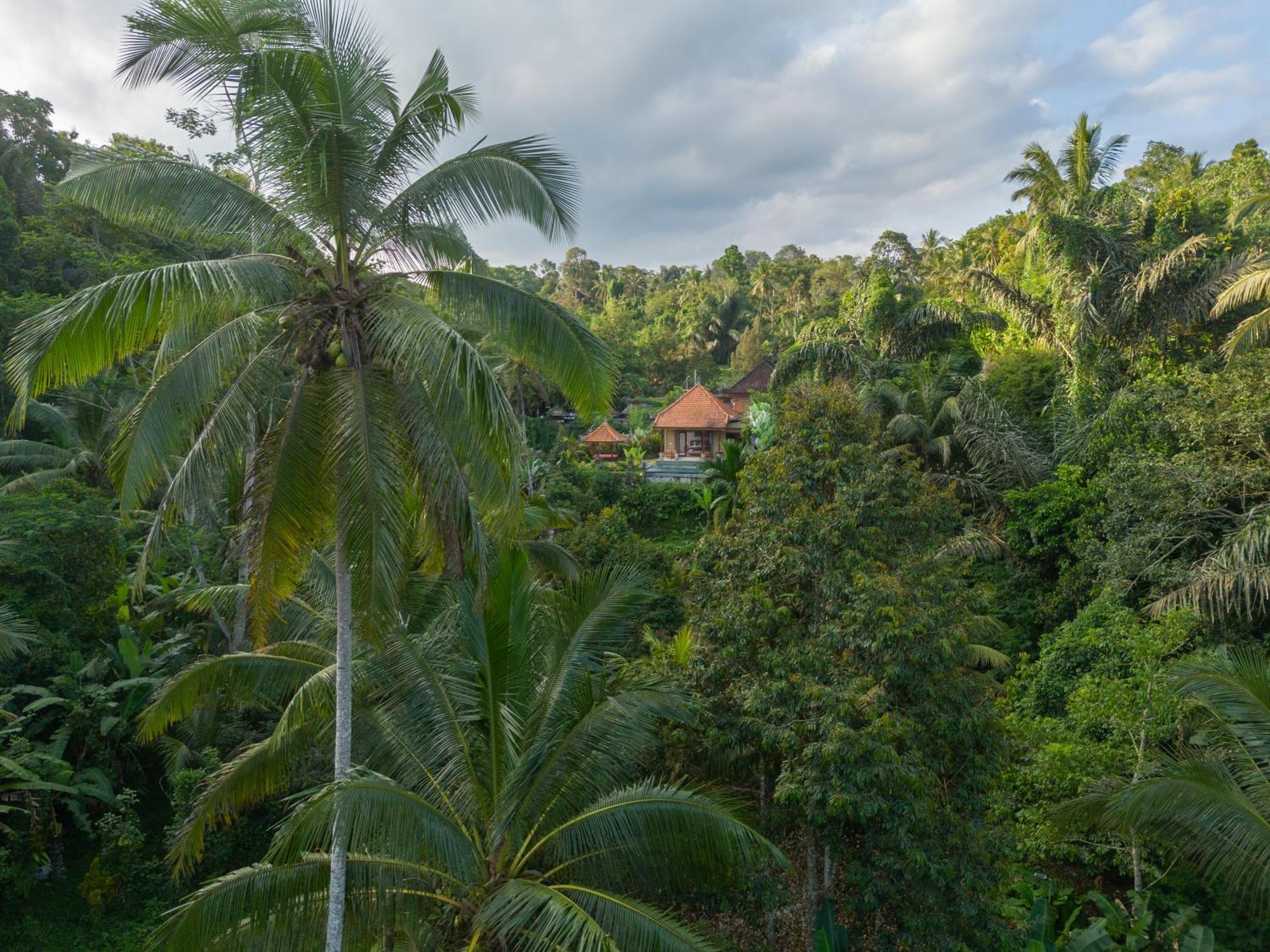 Gunung Kawi Villa Tegallalang  Exteriör bild