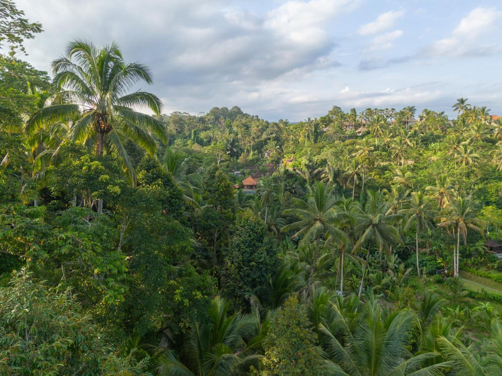 Gunung Kawi Villa Tegallalang  Exteriör bild