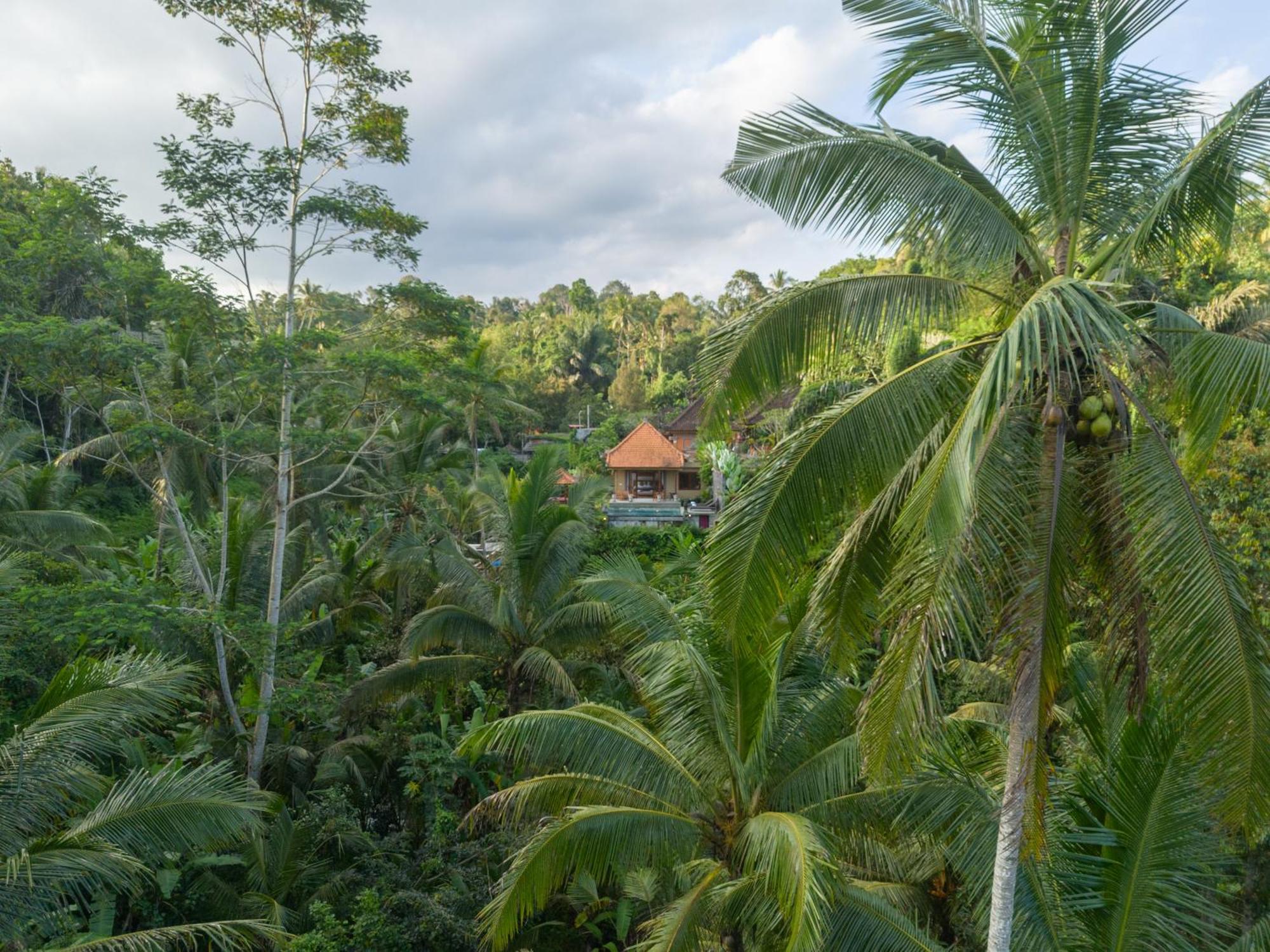 Gunung Kawi Villa Tegallalang  Exteriör bild