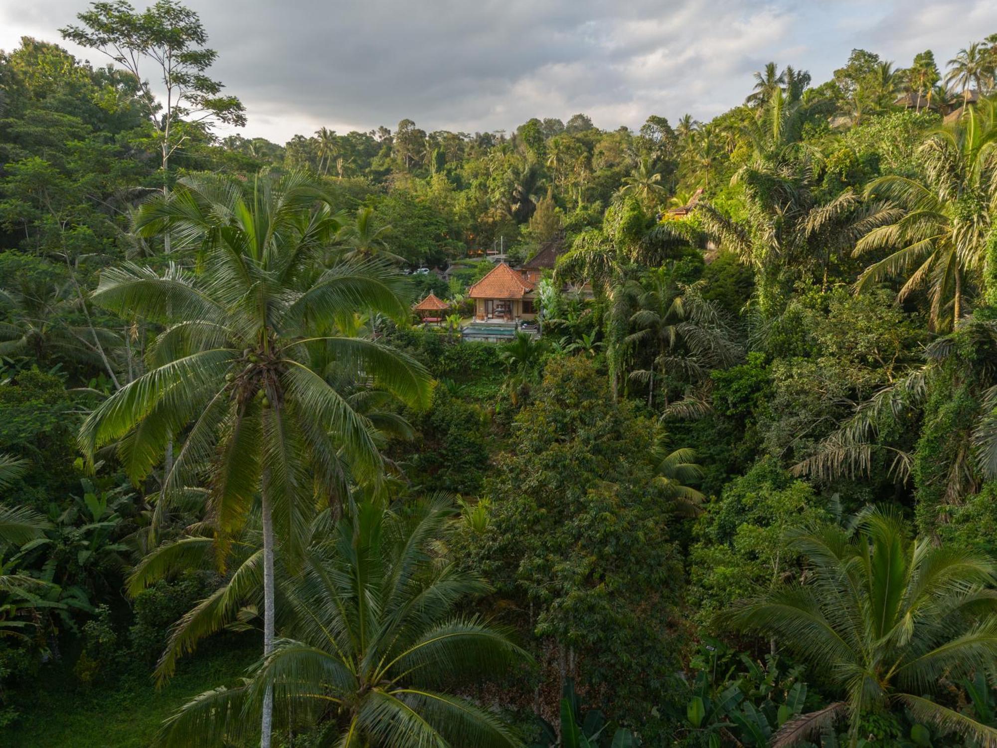 Gunung Kawi Villa Tegallalang  Exteriör bild